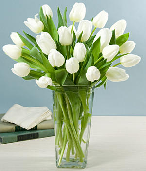 20 Tulips Choose Your Color EBF-104 Flower Bouquet