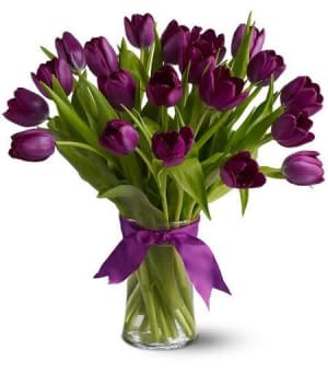 20 Tulips Choose Your Color EBF-104 Flower Bouquet
