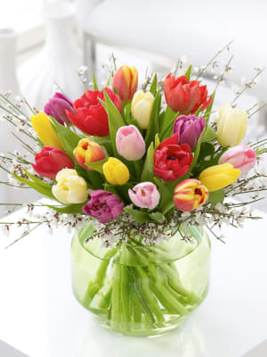 20 Tulips Choose Your Color EBF-104 Flower Bouquet