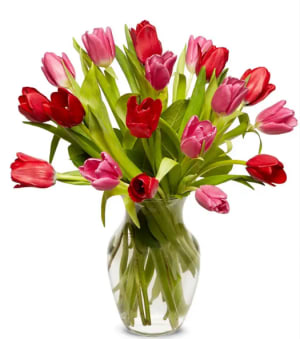 Lovely Tulips Flower Bouquet