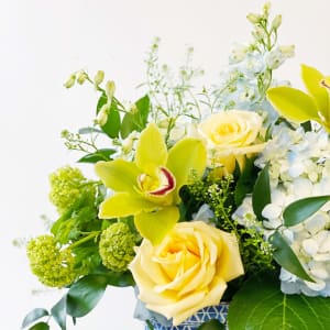 Adrienne's Summer in Mykonos