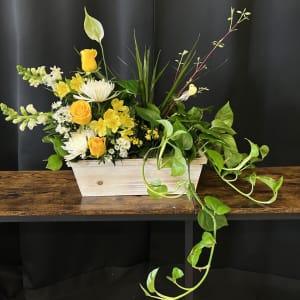 Peaceful Planter