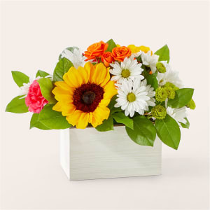 Sun-drenched Blooms Box Bouquet Flower Bouquet