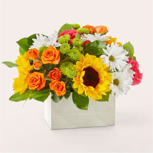 Sun-drenched Blooms Box Bouquet Flower Bouquet