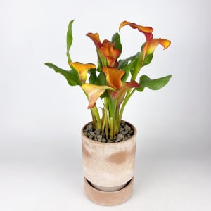 CALLA LILY Flower Bouquet