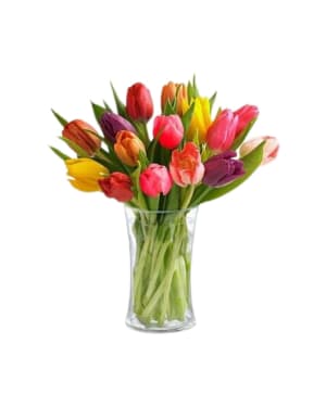 Tulips in a Vase Flower Arrangement Tulips in a Vase Flower Bouquet