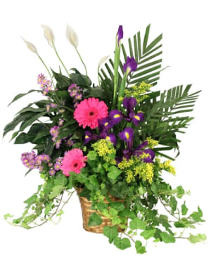 WHISPERS OF REMEMBRANCE HOUSE PLANT Flower Bouquet