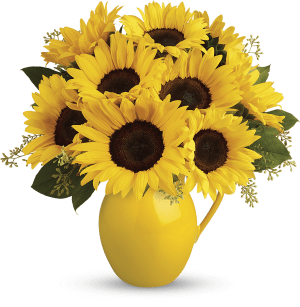 Teleflora's Sunny Day Pitcher of Sunflowers Flower Bouquet