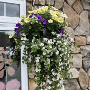 Outdoor designer Hanging Basket Flower Bouquet