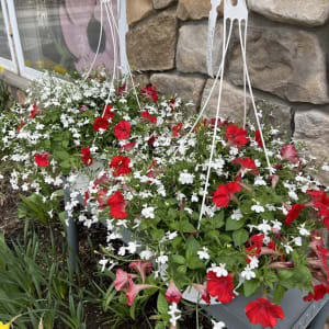 Outdoor designer Hanging Basket Flower Bouquet