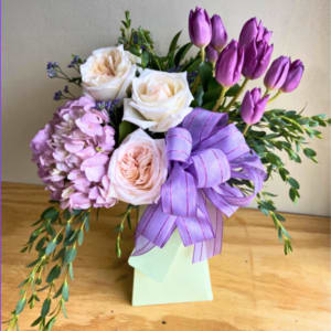 Tender Tulips