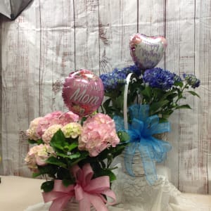 Hydrangea Plants Flower Bouquet