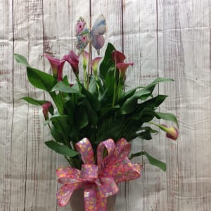 Calla Lily Flower Bouquet