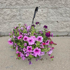 Mixed Hanging Planters Flower Bouquet