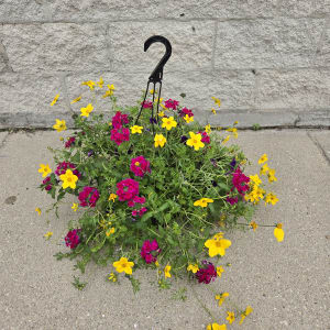 Mixed Hanging Planters Flower Bouquet