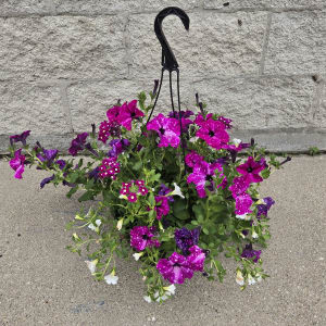 Mixed Hanging Planters Flower Bouquet
