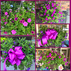 Hanging Basket Annuals Flower Arrangement Hanging Basket Annuals Flower Bouquet