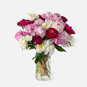 Peony Bouquet Flower Arrangement Peony Bouquet Flower Bouquet