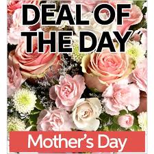 Mother's Day Deal Of The Day 2025 Flower Bouquet