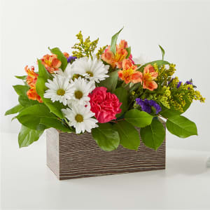 Oopsie Daisy Box Bouquet Flower Bouquet