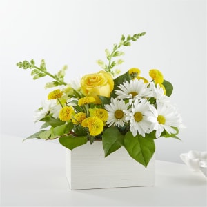 Sun Salutation Box Bouquet Flower Bouquet