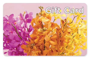 Gift Card Flower Bouquet