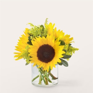 Beaming Sunflower Bouquet Flower Bouquet