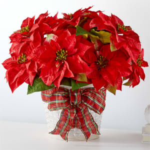 Happiest Holidays Poinsettia Flower Bouquet