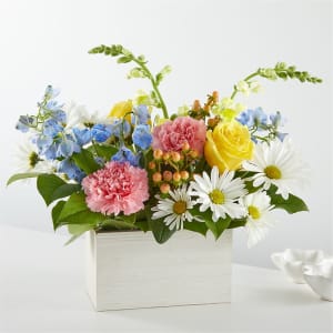 Sun Salutation Box Bouquet Flower Bouquet