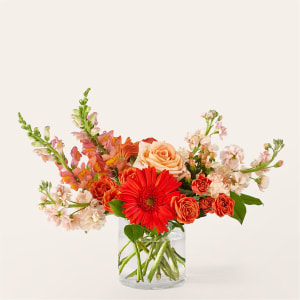 Paloma Please Bouquet Flower Bouquet