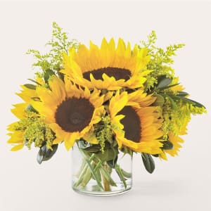 Beaming Sunflower Bouquet Flower Bouquet