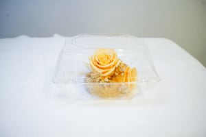 CPR-4 Corsage de rosas y baby breath preservado