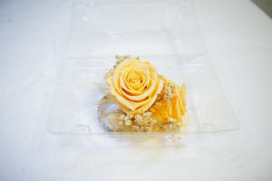 CPR-4 Corsage de rosas y baby breath preservado