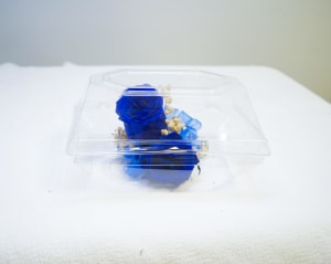 CPR-7 Corsage de rosas y baby breath preservado