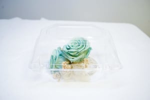 CPR-8 Corsage de rosas y baby breath preservado