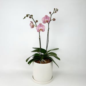 PINK Flower Arrangement PINK Flower Bouquet
