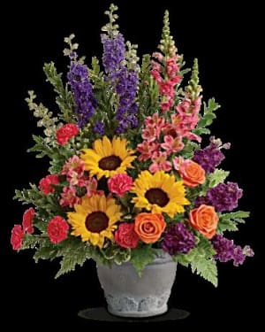Celebrated Life EBF-141 Flower Arrangement Celebrated Life EBF-141 Flower Bouquet