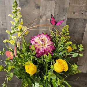 Glory Days of Dahlia