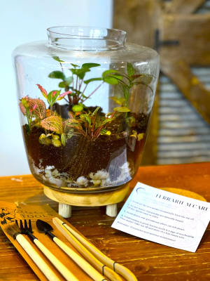 Plant Terrarium