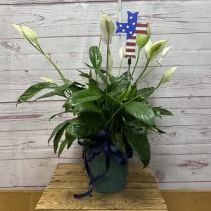 Solar Powered LED Patriotic Cross Stake Flower Arrangement Solar Powered LED Patriotic Cross Stake Flower Bouquet