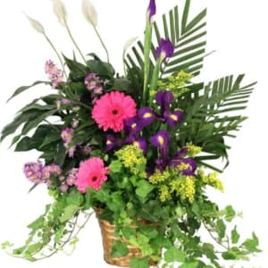 WHISPERS OF REMEMBRANCE HOUSE PLANT Flower Bouquet