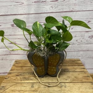 Fluttering Foliage Butterfly Planter Flower Bouquet
