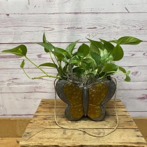 Fluttering Foliage Butterfly Planter Flower Bouquet