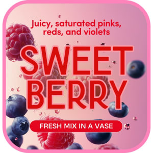 Sweet Berry – Designer's Choice Flower Bouquet