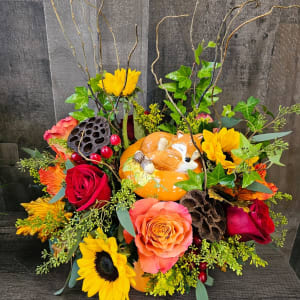 Fox In The Field Arrangement