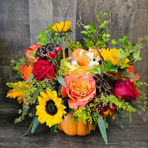 Fox In The Field Arrangement