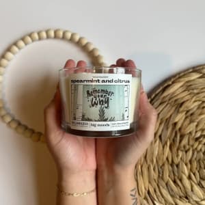 Remember Your Why 3-Wick Soy Candle - Mint & Citrus