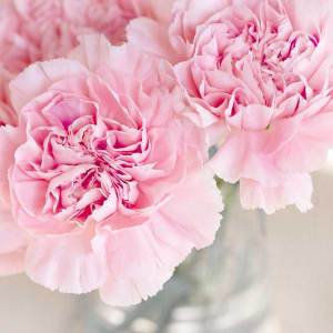 Madison-Plains' Hand Bouquet (nosegay) and Boutonniere Combo Flower Bouquet