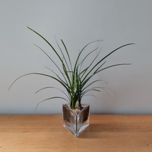 Desktop Palm Flower Bouquet