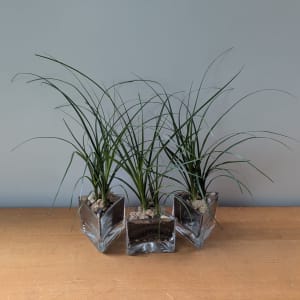 Desktop Palm Flower Bouquet